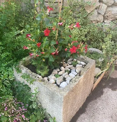 Gostinjska kuća Klara